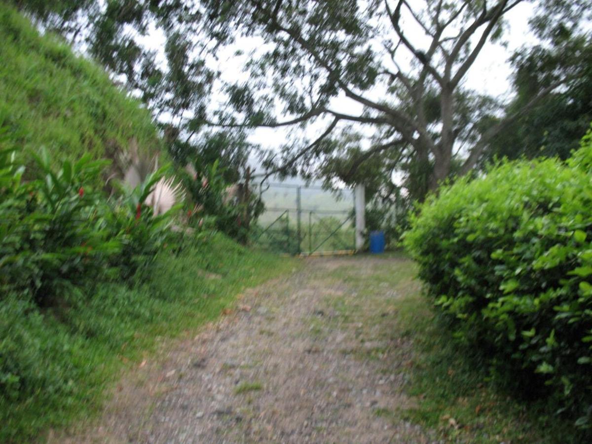 Hostel Finca La Gordita Calabazo  Buitenkant foto